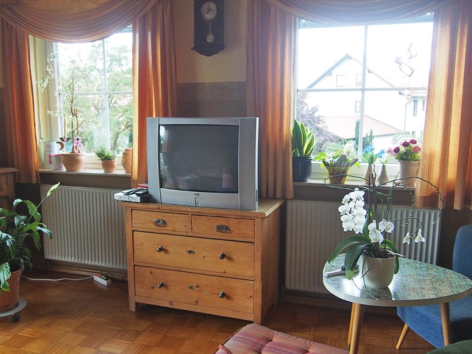 Das Wohnzimmer - vor der Renovierung